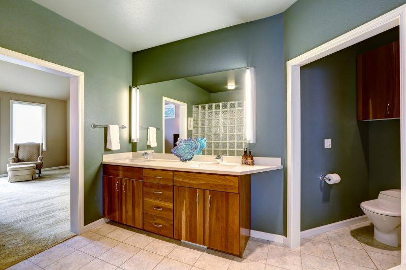 Modern Vanity Areas