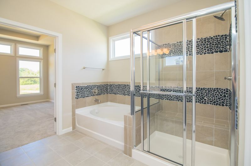 Walk-in Shower with Stone Accents